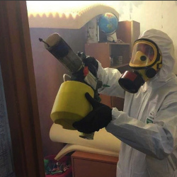 Уничтожение клопов в квартире. Светогорск